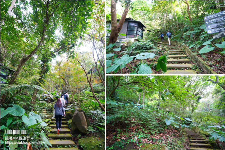 台北溫泉推薦》三峽大板根溫泉渡假村～森林漫步、溫泉SPA雙重滿足！三代同堂都能歡樂共遊的夢幻渡假村！