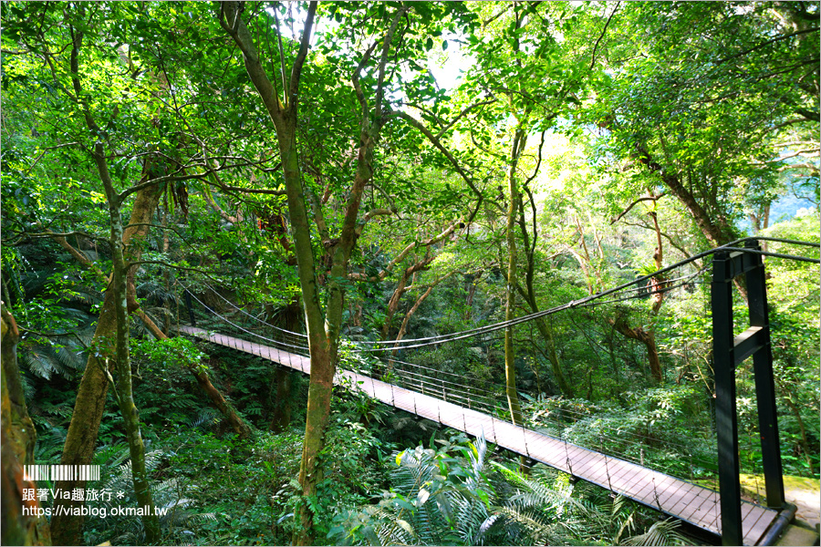 台北溫泉推薦》三峽大板根溫泉渡假村～森林漫步、溫泉SPA雙重滿足！三代同堂都能歡樂共遊的夢幻渡假村！