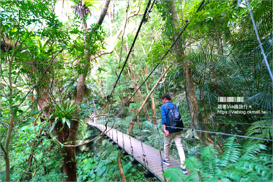 台北溫泉推薦》三峽大板根溫泉渡假村～森林漫步、溫泉SPA雙重滿足！三代同堂都能歡樂共遊的夢幻渡假村！