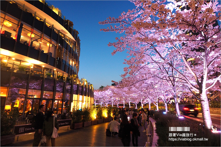 東京櫻花推薦》必去超美夜櫻景點！六本木～東京中城櫻花通(東京中城さくら坂)／一生難忘！此行最浪漫的夜櫻就在這！