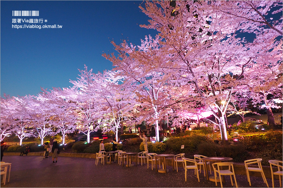 東京櫻花推薦》必去超美夜櫻景點！六本木～東京中城櫻花通(東京中城さくら坂)／一生難忘！此行最浪漫的夜櫻就在這！