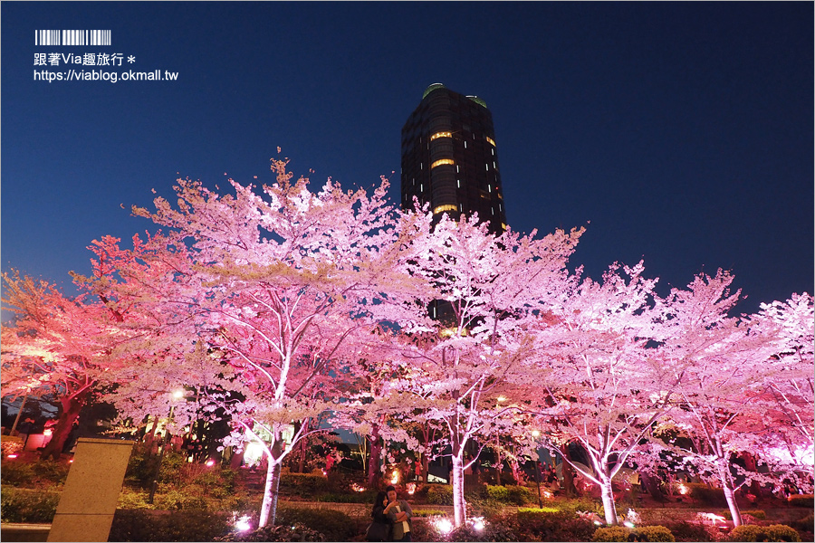 東京櫻花推薦》必去超美夜櫻景點！六本木～東京中城櫻花通(東京中城さくら坂)／一生難忘！此行最浪漫的夜櫻就在這！