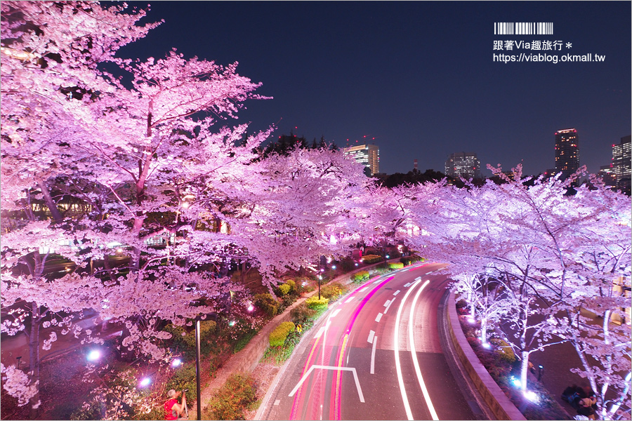 東京櫻花推薦》必去超美夜櫻景點！六本木～東京中城櫻花通(東京中城さくら坂)／一生難忘！此行最浪漫的夜櫻就在這！