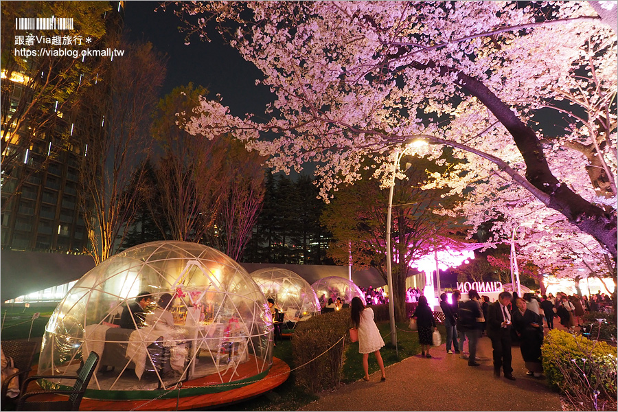 東京櫻花推薦》必去超美夜櫻景點！六本木～東京中城櫻花通(東京中城さくら坂)／一生難忘！此行最浪漫的夜櫻就在這！