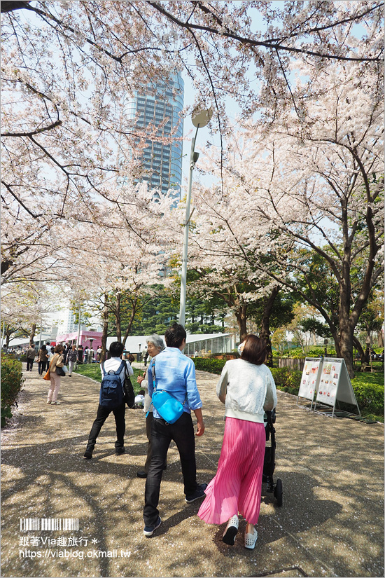 東京櫻花季》六本木櫻花景點推薦～必去！東京中城TOKYO MIDTOWN超美櫻花天橋，巧遇櫻吹雪美炸了！