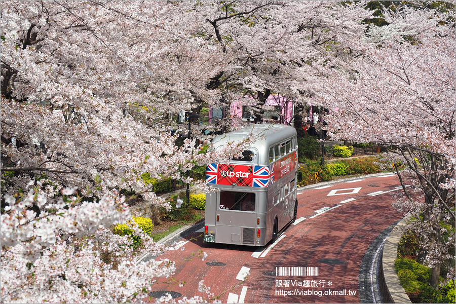 東京櫻花季》六本木櫻花景點推薦～必去！東京中城TOKYO MIDTOWN超美櫻花天橋，巧遇櫻吹雪美炸了！