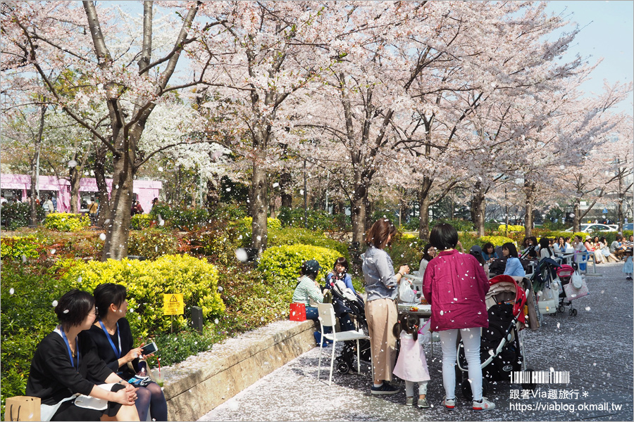 東京櫻花季》六本木櫻花景點推薦～必去！東京中城TOKYO MIDTOWN超美櫻花天橋，巧遇櫻吹雪美炸了！