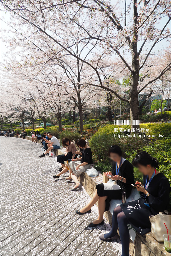 東京櫻花季》六本木櫻花景點推薦～必去！東京中城TOKYO MIDTOWN超美櫻花天橋，巧遇櫻吹雪美炸了！