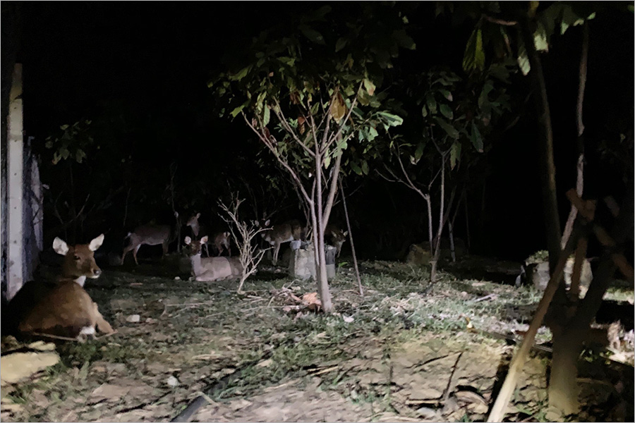 墾丁親子住宿》墾丁悠活渡假村～散步就到萬里桐海邊沙灘看夕陽囉！