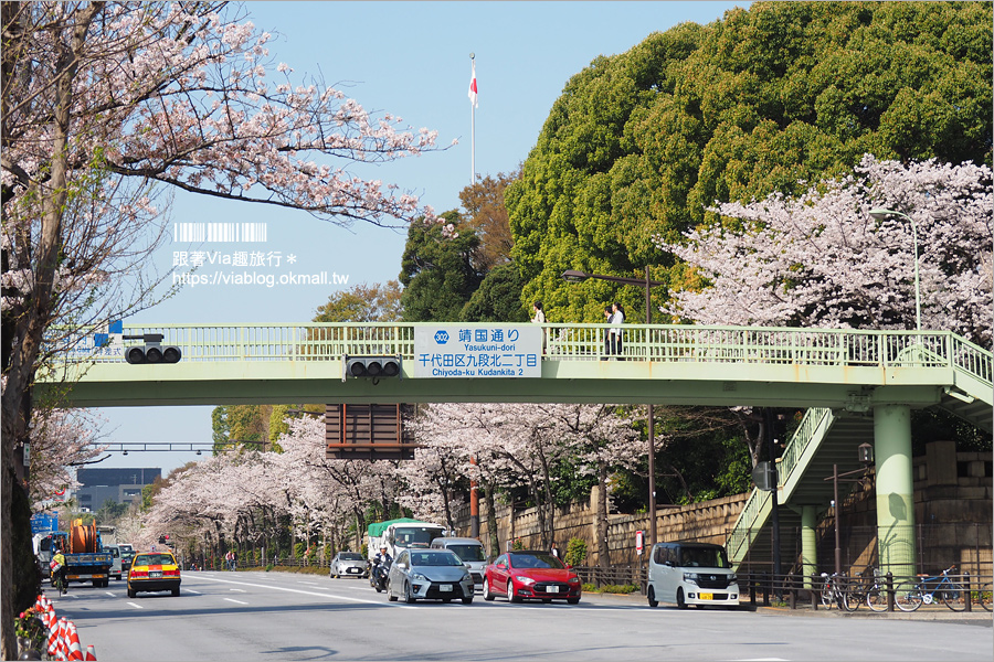 東京賞櫻》千鳥淵公園／超級推薦！東京櫻花景點～爆滿的護城河櫻花美景，划船賞櫻+東京鐵塔趣！