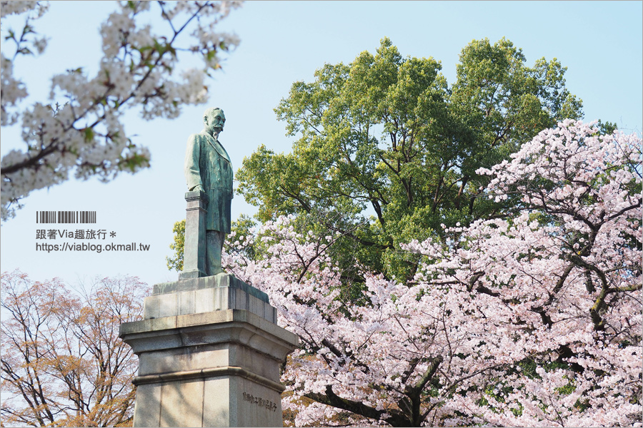 東京賞櫻》千鳥淵公園／超級推薦！東京櫻花景點～爆滿的護城河櫻花美景，划船賞櫻+東京鐵塔趣！