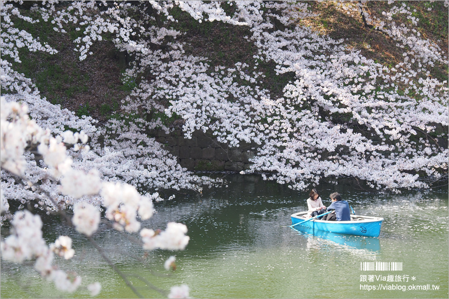 東京賞櫻》千鳥淵公園／超級推薦！東京櫻花景點～爆滿的護城河櫻花美景，划船賞櫻+東京鐵塔趣！