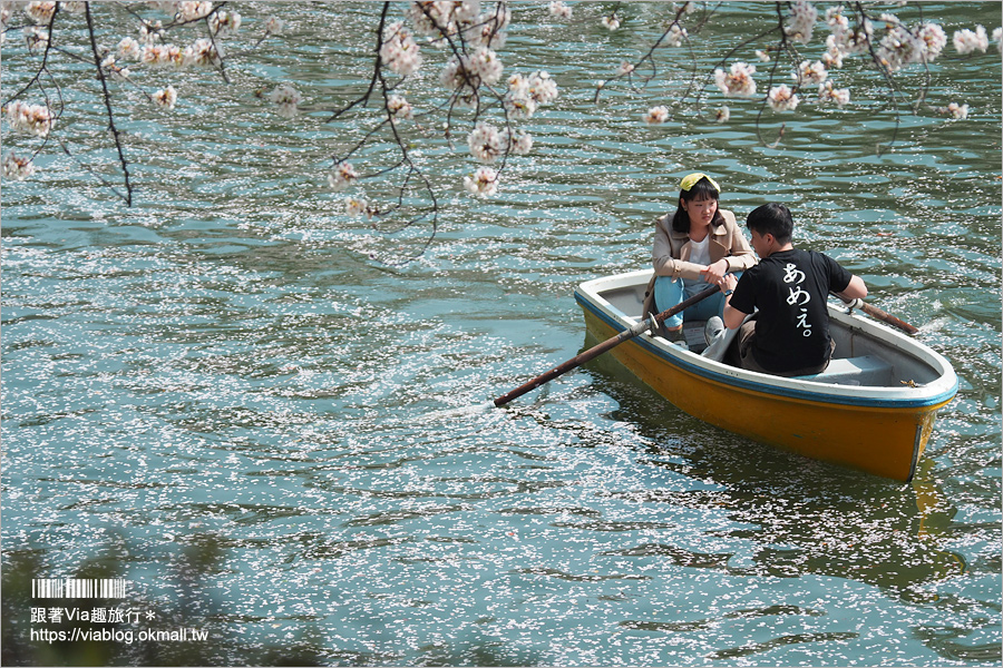 東京賞櫻》千鳥淵公園／超級推薦！東京櫻花景點～爆滿的護城河櫻花美景，划船賞櫻+東京鐵塔趣！