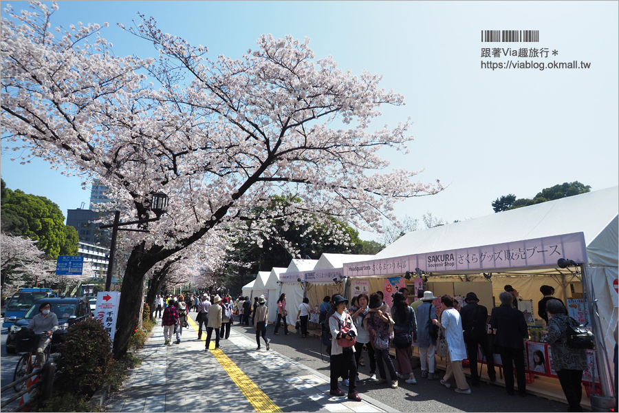 東京賞櫻》千鳥淵公園／超級推薦！東京櫻花景點～爆滿的護城河櫻花美景，划船賞櫻+東京鐵塔趣！