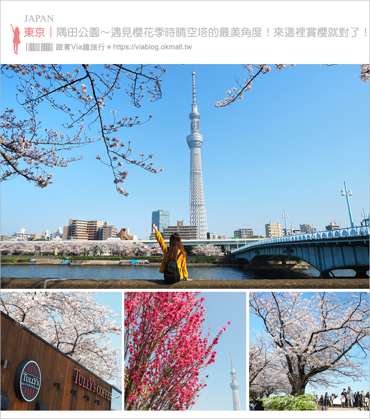 東京櫻花景點》淺草隅田公園～櫻花＋晴空塔＋隅田川～一次滿足！拍晴空塔的超美角度看這篇！