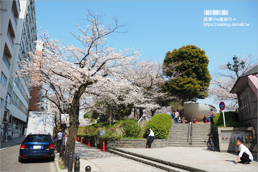 東京櫻花景點》淺草隅田公園～櫻花＋晴空塔＋隅田川～一次滿足！拍晴空塔的超美角度看這篇！