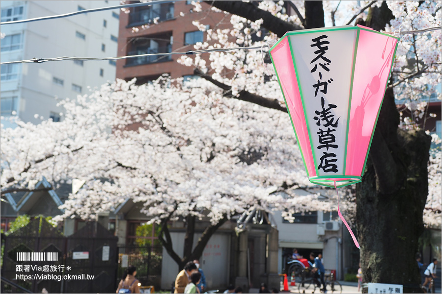 東京櫻花景點》淺草隅田公園～櫻花＋晴空塔＋隅田川～一次滿足！拍晴空塔的超美角度看這篇！