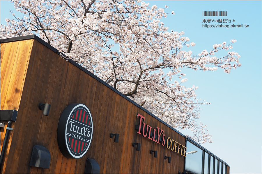 東京櫻花景點》淺草隅田公園～櫻花＋晴空塔＋隅田川～一次滿足！拍晴空塔的超美角度看這篇！