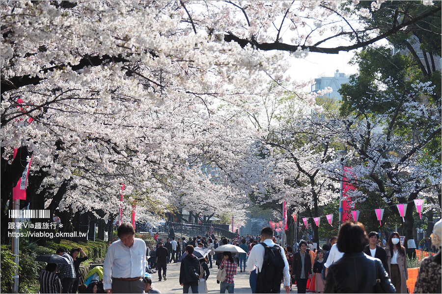 東京櫻花景點》淺草隅田公園～櫻花＋晴空塔＋隅田川～一次滿足！拍晴空塔的超美角度看這篇！