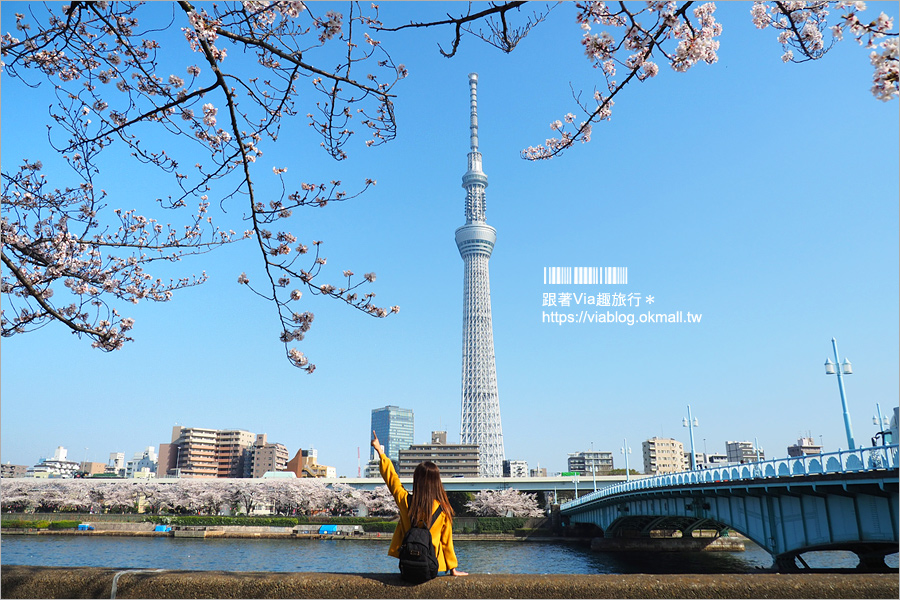 東京櫻花景點》淺草隅田公園～櫻花＋晴空塔＋隅田川～一次滿足！拍晴空塔的超美角度看這篇！