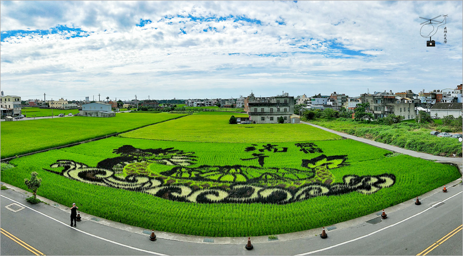 苑裡彩繪稻田》苗栗旅行～端午節應景景點報到！綠油油的稻田上划龍舟？嘿！看了就知道！