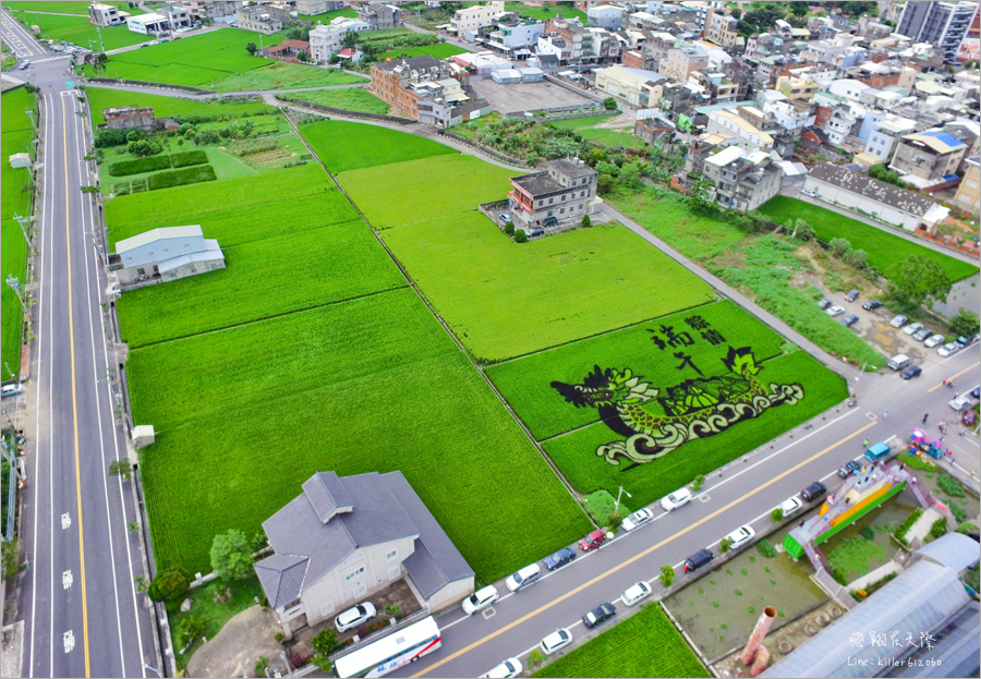 苑裡彩繪稻田》苗栗旅行～端午節應景景點報到！綠油油的稻田上划龍舟？嘿！看了就知道！