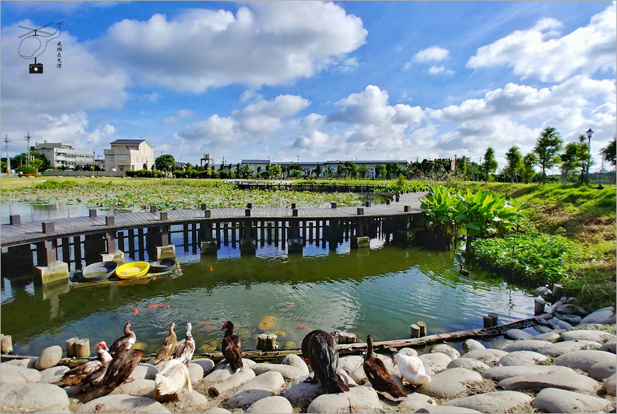 雲林景點》麥寮‧新吉社區｜金木園區～免費開放！浪漫的曲型木棧道，夏季荷花池畔盛開美不勝收！