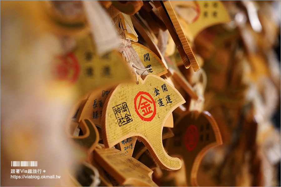 京都景點》御金神社～超美金色鳥居！金色版銀杏繪馬！來日本體驗「合法洗錢」的樂趣！