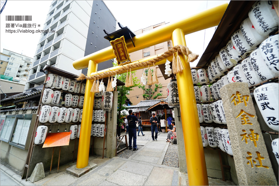 京都景點》御金神社～超美金色鳥居！金色版銀杏繪馬！來日本體驗「合法洗錢」的樂趣！