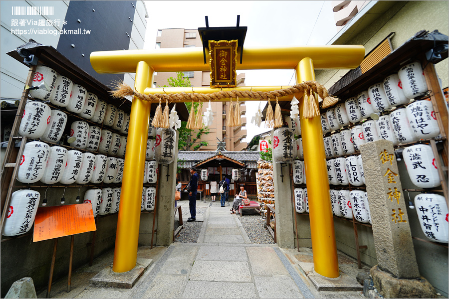 京都景點》御金神社～超美金色鳥居！金色版銀杏繪馬！來日本體驗「合法洗錢」的樂趣！