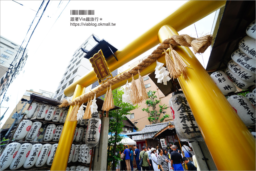 京都景點》御金神社～超美金色鳥居！金色版銀杏繪馬！來日本體驗「合法洗錢」的樂趣！