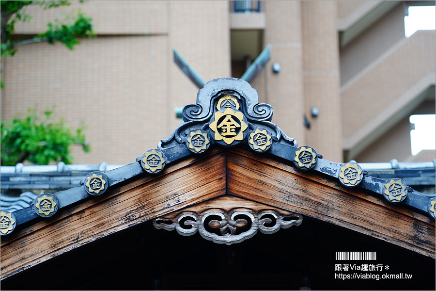 京都景點》御金神社～超美金色鳥居！金色版銀杏繪馬！來日本體驗「合法洗錢」的樂趣！