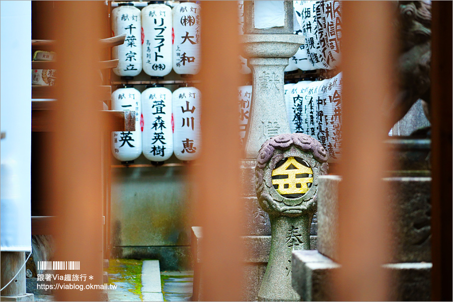 京都景點》御金神社～超美金色鳥居！金色版銀杏繪馬！來日本體驗「合法洗錢」的樂趣！