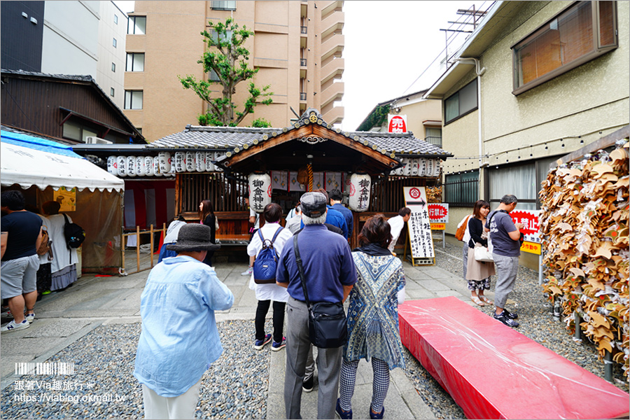 京都景點》御金神社～超美金色鳥居！金色版銀杏繪馬！來日本體驗「合法洗錢」的樂趣！