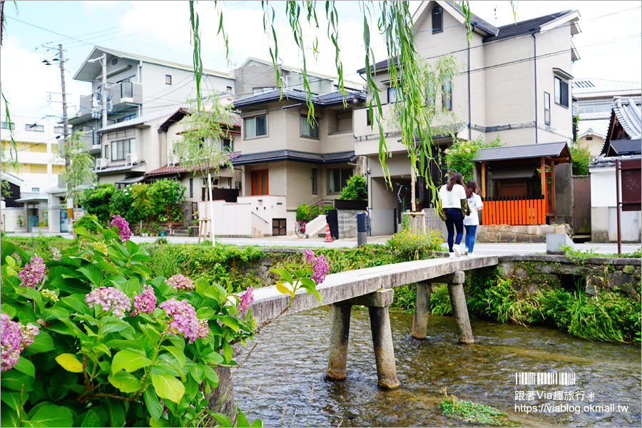 京都私房景點》京都一本橋／行者橋～柳樹相伴的古老小石橋，底下溪水超級清澈的小秘境旅點！