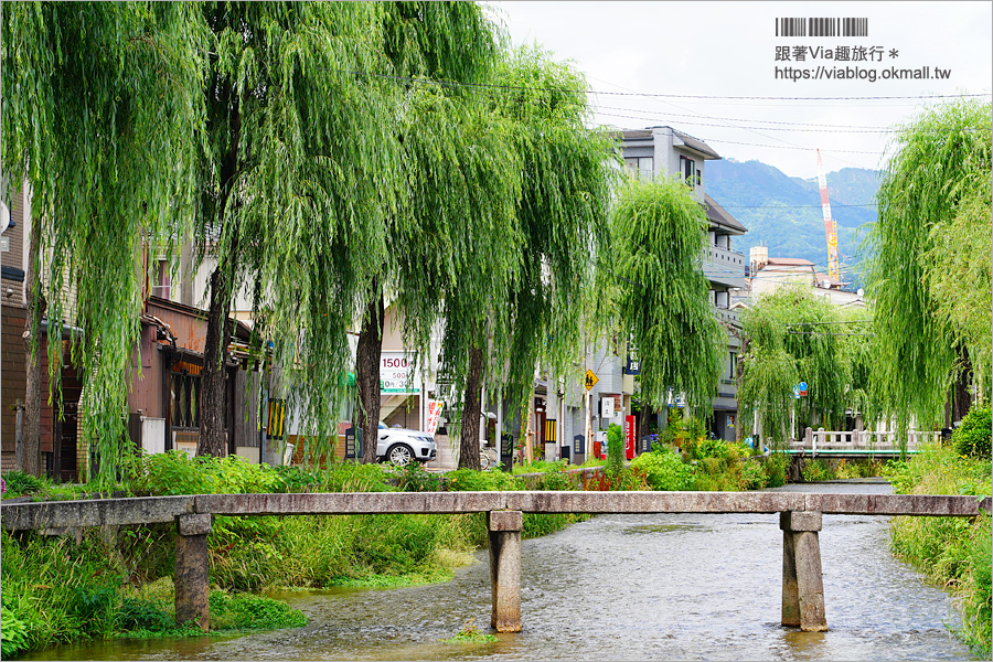 京都私房景點》京都一本橋／行者橋～柳樹相伴的古老小石橋，底下溪水超級清澈的小秘境旅點！