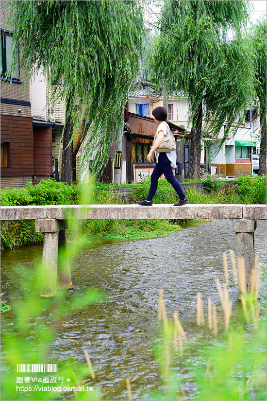 京都私房景點》京都一本橋／行者橋～柳樹相伴的古老小石橋，底下溪水超級清澈的小秘境旅點！