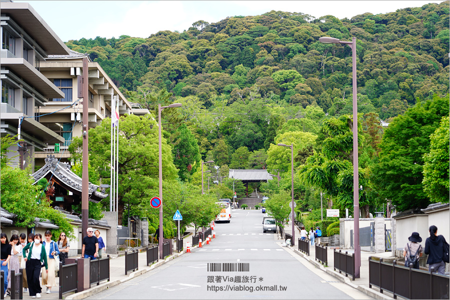 京都私房景點》京都一本橋／行者橋～柳樹相伴的古老小石橋，底下溪水超級清澈的小秘境旅點！