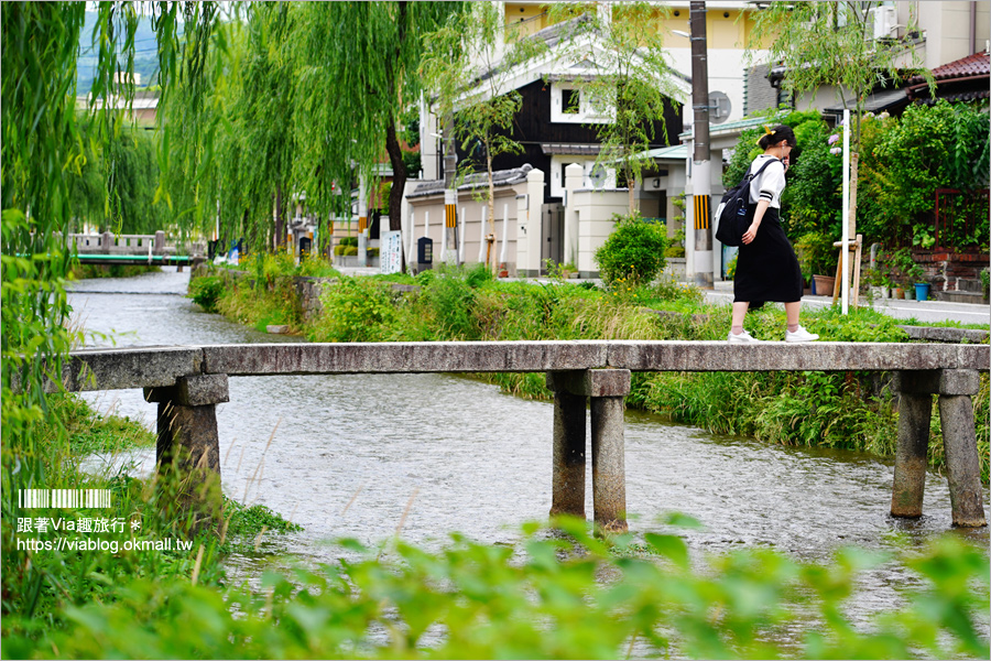 京都私房景點》京都一本橋／行者橋～柳樹相伴的古老小石橋，底下溪水超級清澈的小秘境旅點！