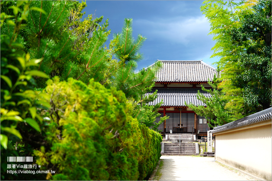 奈良景點》奈良古廟之旅～在地人才知的私房寺院看這篇：小房觀音寺／唐招提寺／西大寺