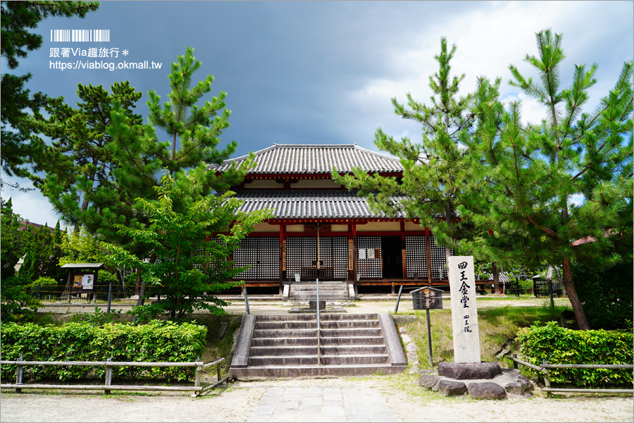 奈良景點》奈良古廟之旅～在地人才知的私房寺院看這篇：小房觀音寺／唐招提寺／西大寺