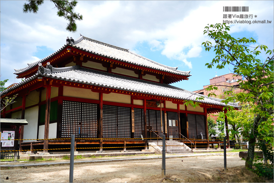 奈良景點》奈良古廟之旅～在地人才知的私房寺院看這篇：小房觀音寺／唐招提寺／西大寺