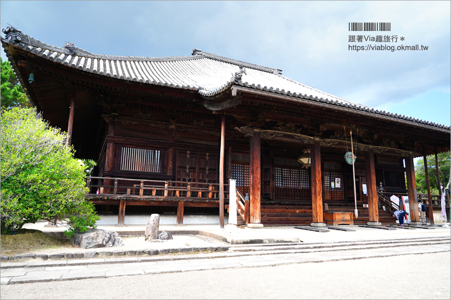 奈良景點》奈良古廟之旅～在地人才知的私房寺院看這篇：小房觀音寺／唐招提寺／西大寺