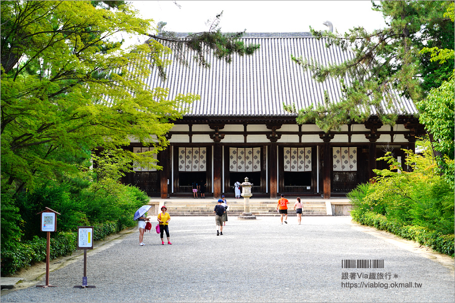 奈良景點》奈良古廟之旅～在地人才知的私房寺院看這篇：小房觀音寺／唐招提寺／西大寺