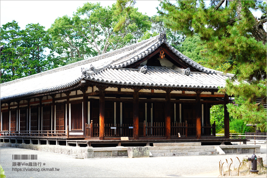 奈良景點》奈良古廟之旅～在地人才知的私房寺院看這篇：小房觀音寺／唐招提寺／西大寺