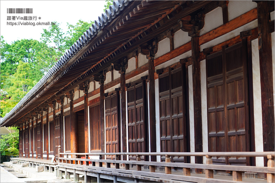 奈良景點》奈良古廟之旅～在地人才知的私房寺院看這篇：小房觀音寺／唐招提寺／西大寺