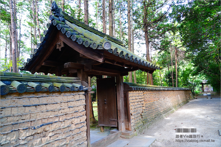 奈良景點》奈良古廟之旅～在地人才知的私房寺院看這篇：小房觀音寺／唐招提寺／西大寺