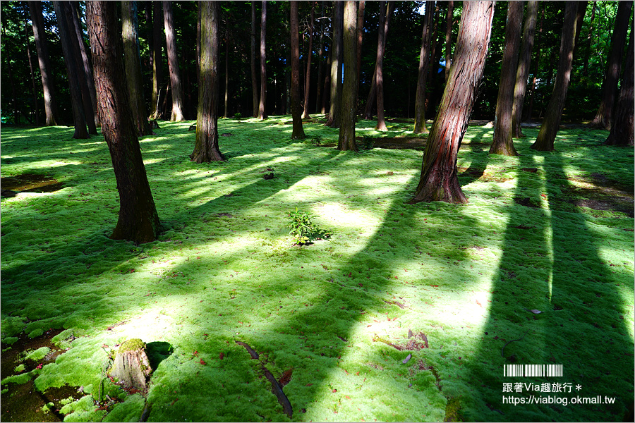 奈良景點》奈良古廟之旅～在地人才知的私房寺院看這篇：小房觀音寺／唐招提寺／西大寺