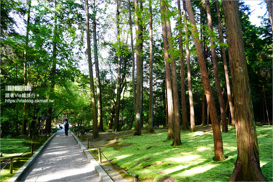 奈良景點》奈良古廟之旅～在地人才知的私房寺院看這篇：小房觀音寺／唐招提寺／西大寺