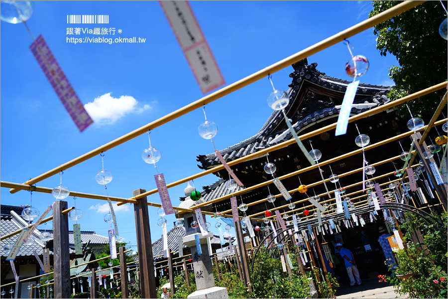 奈良景點》奈良古廟之旅～在地人才知的私房寺院看這篇：小房觀音寺／唐招提寺／西大寺